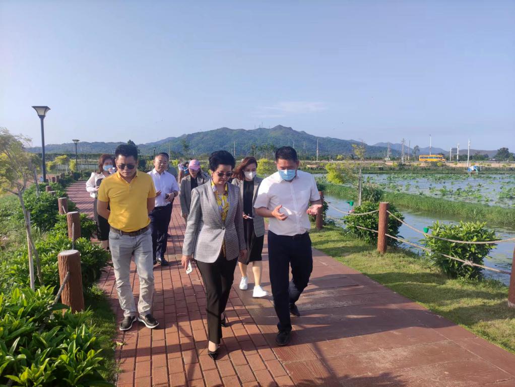 省生态修复协会轮值会长单位尊龙凯时集团带队赴汕尾全域土地整治军民融合试点项目调研